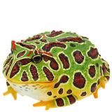 ڥ٥ĥΥ/ޥͥåȡۥͥ㡼ƥ˥顼MONO PLUS ѡ롼ѡȥ٥ĥΥȥᥢޥȥޥ᥿ԥ ޥͥå&ܡ