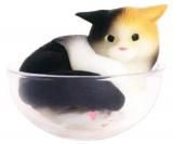ڥ饹äǭ ǭǭϱ
