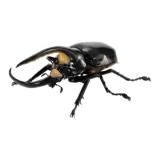 ڥͥץ塼󥪥֥ȡʲˡ ޴ ֤Ȥष08