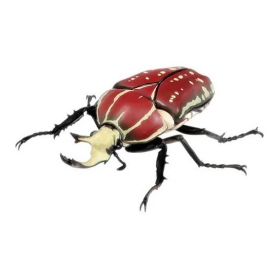 Nintendo Switch - かなぶん ポリフェムスオオツノカナブン（レッド）】 いきもの大図鑑