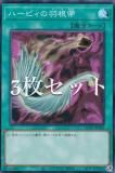 3祻åȡͷ QCAC-JP024 ϡԥα (ܸ ѡ쥢)