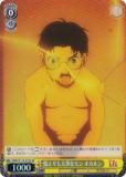  DDD/S118-010S ʥ  (SR ѡ쥢) ֡ѥå TV˥ 