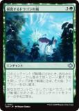 ޥå㥶 TDM JP 0142 ɥ饴 (ܸ 󥳥) 륭롧ζϿ (MTG)