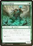FOILۥޥå㥶 TDM JP 0152 ȤФκ (ܸ 󥳥) 륭롧ζϿ (MTG)