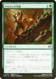 FOILۥޥå㥶 TDM JP 0158 륫η (ܸ ) 륭롧ζϿ (MTG)