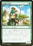FOILۥޥå㥶 TDM JP 0163 ϩû (ܸ ) 륭롧ζϿ (MTG)