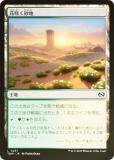 FOILۥޥå㥶 TDM JP 0251 ֺ餯 (ܸ ) 륭롧ζϿ (MTG)