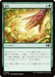 ޥå㥶 TDC JP 0253 ̺ (ܸ ) 륭롧ζϿ Ψ (MTG)