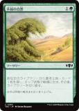 ޥå㥶 TDC JP 0265 Զμ (ܸ ) 륭롧ζϿ Ψ (MTG)