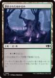 ޥå㥶 TDC JP 0369 ͤ줿̤ (ܸ ) 륭롧ζϿ Ψ (MTG)