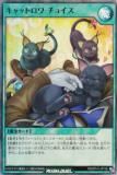ͷ åǥ奨 RD/5TH1-JP130 åȥ 祤 (ܸ ѡ쥢) 5th ANNIVERSARY PACK