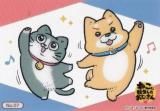 No.07 ץ ֥ ȥ졼ǥ󥰥 쥯󥯥ꥢ ͤž