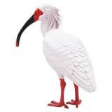 ڥȥNATURE OF JAPAN ܤΤ2