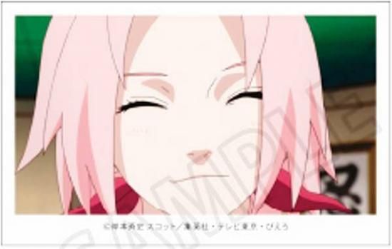 春野サクラ】NARUTO-ナルト- 疾風伝 ミニフォトコレクション Vol.1