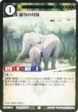 Foilۥ˥ޥ륫ɥ BP1-053 Ȥ (U 󥳥) ֡ѥå °