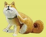 【ジャック・ラッセル・テリア】カイカイ WS014009.jpg