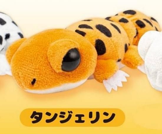 【タンジェリン】レオパのぬいぐるみ タンジェリン】レオパのぬいぐるみ - トレカ&ホビーの通販なら
