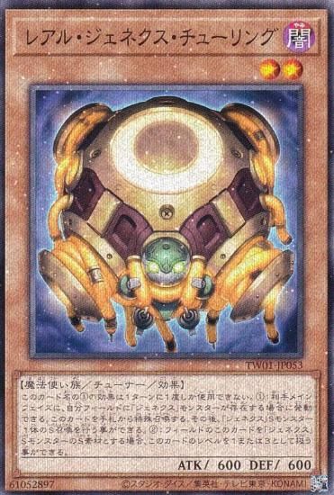 ڥץ쥤ѡͷ TW01-JP053 쥢롦ͥ塼 (ܸ Ρޥѥ) ߥʥ롦 TERMINAL WORLD š
