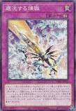 ڥץ쥤ѡͷ TW01-JP120 ޫ (ܸ Ρޥѥ) ߥʥ롦 TERMINAL WORLD š