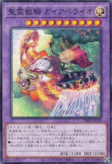 ڥץ쥤ѡͷ TW01-JP139 õ ڥ饤 (ܸ Ρޥѥ) ߥʥ롦 TERMINAL WORLD š
