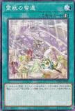ڥץ쥤ѡͷ TW01-JP142 ä (ܸ Ρޥѥ) ߥʥ롦 TERMINAL WORLD š