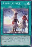 ڥץ쥤ѡͷ TW01-JP044 ɹ볦˻ (ܸ ѡ쥢) ߥʥ롦 TERMINAL WORLD š