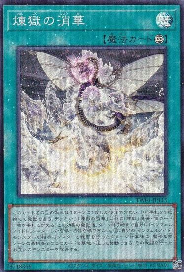 ڥץ쥤ѡͷ TW01-JP115 ξò (ܸ ѡ쥢ѥ) ߥʥ롦 TERMINAL WORLD š