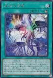 ڥץ쥤ѡͷ TW01-JP116 ε̴ (ܸ åȥ쥢) ߥʥ롦 TERMINAL WORLD š