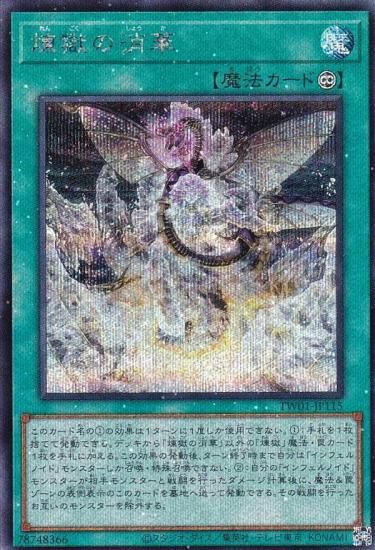 ڥץ쥤ѡͷ TW01-JP115 ξò (ܸ åȥ쥢ѥ) ߥʥ롦 TERMINAL WORLD š