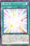 ڥץ쥤ѡͷ 24PP-JP010  (ܸ Ρޥѥ) PREMIUM PACK 2024 ץߥѥå š