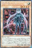 ڥץ쥤ѡͷ 24PP-JP020 ɱݥ (ܸ åȥ쥢) PREMIUM PACK 2024 ץߥѥå š