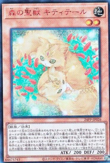 ڥץ쥤ѡۡSPECIAL RED Ver.ͷ 24PP-JP026  ƥơ (ܸ åȥ쥢) PREMIUM PACK 2024 ץߥѥå š