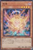 ڥץ쥤ѡͷ QCDB-JP016 Ӻ (ܸ ѡ쥢) QUARTER CENTURY DUELIST BOX š
