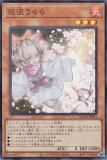 ڥץ쥤ѡͷ QCDB-JP021 ή (ܸ ѡ쥢) QUARTER CENTURY DUELIST BOX š