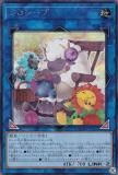 ڥץ쥤ѡͷ QCDB-JP047  (ܸ åȥ쥢) QUARTER CENTURY DUELIST BOX š