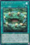 ڥץ쥤ѡͷ QCDB-JP056 β (ܸ åȥ쥢) QUARTER CENTURY DUELIST BOX š