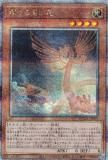 ڥץ쥤ѡͷ QCDB-JP003 ε (ܸ 25th ꡼åȥ쥢) QUARTER CENTURY DUELIST BOX š