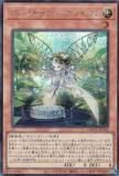 ڥץ쥤ѡͷ QCCU-JP162 ޥեݥ󥼥ꥫ (ܸ åȥ쥢) QUARTER CENTURY CHRONICLE sideUNITY š