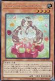 ڥץ쥤ѡͷ QCCP-JP149 ޥɥ󥸥꡼ (ܸ åȥ쥢) QUARTER CENTURY CHRONICLE sidePRIDE š