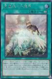 ڥץ쥤ѡͷ QCCP-JP197 ʪμε (ܸ åȥ쥢) QUARTER CENTURY CHRONICLE sidePRIDE š