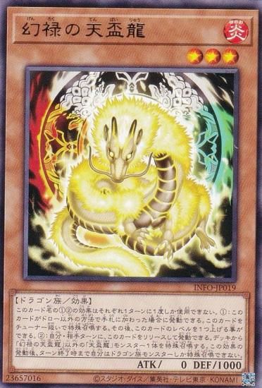 ڥץ쥤ѡͷ INFO-JP019 Ͻŷζ (ܸ 쥢) ե˥åȡեӥɥ š