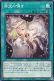 ڥץ쥤ѡͷ INFO-JP060  (ܸ Ρޥ) ե˥åȡեӥɥ š