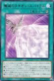 ڥץ쥤ѡͷ DP29-JP005 ǤΥ󡦥ѥ (ܸ 쥢) ǥ奨ꥹȥѥåݵΥǥ奨ꥹԡ š