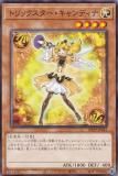 ڥץ쥤ѡͷ DP29-JP045 ȥåǥ (ܸ Ρޥ) ǥ奨ꥹȥѥåݵΥǥ奨ꥹԡ š
