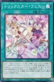 ڥץ쥤ѡͷ DP29-JP050 ȥåե (ܸ Ρޥ) ǥ奨ꥹȥѥåݵΥǥ奨ꥹԡ š