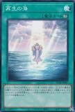 ڥץ쥤ѡͷ AC04-JP005 γ (ܸ ѡ쥢) ANIMATION CHRONICLE 2024 š