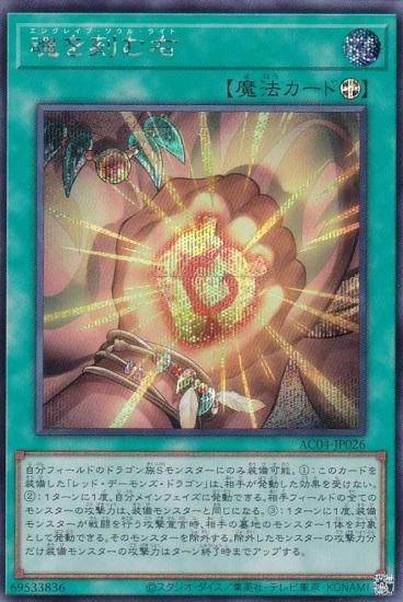 ڥץ쥤ѡͷ AC04-JP026 ౦ (ܸ åȥ쥢) ANIMATION CHRONICLE 2024 š