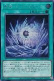 ڥץ쥤ѡͷ WPP5-JP022  Сƥƥ (ܸ åȥ쥢) WORLD PREMIERE PACK 2024 š