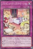 ڥץ쥤ѡͷ QCTB-JP017 ɥ饴ᥤɡ饯 (ܸ Ρޥѥ) QUARTER CENTURY TRINITY BOX š