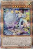 ڥץ쥤ѡͷ QCTB-JP025 Σݣ....ե塼 (ܸ 25th ꡼åȥ쥢)  š
